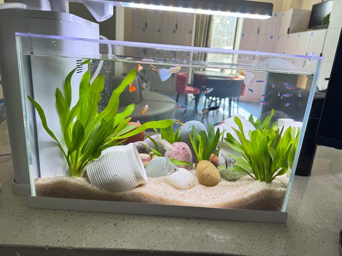 YEE迷你数显恒温加热棒 小型水族箱与低水位环境的智能温控解决方案