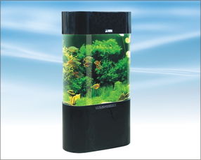 森森亚克力水族箱 打造灵动家居水景的艺术之选