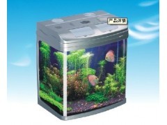 贵阳鱼缸批发一站式解决方案 打造专业水族生态