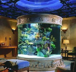 亚克力水族箱 灵动水景的现代之选