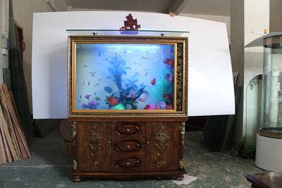 生态鱼缸 方寸之间，构筑流动的生命艺术