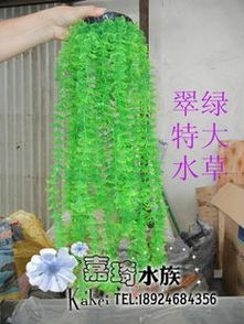 灵动水下桃源 生态假山助力水族箱打造梦幻鱼乐世界