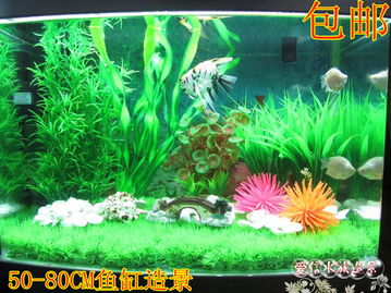 仿真水草水族箱造景 中款鱼缸装饰，景观与养护的完美平衡