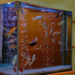 安徽亚克力水族箱选购指南 价格与厂家全面解析