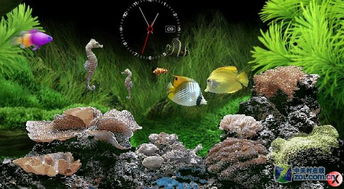 打造桌面水族馆 SereneScreen热带鱼屏保与手机主题的超棒组合
