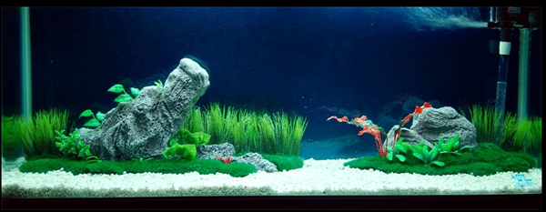 水族箱造景石英砂规格选择指南