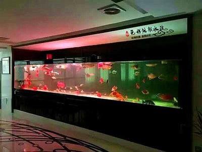 合肥水族箱定制与制作指南 打造专属水下景观